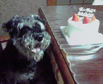 2013061718010000.jpg